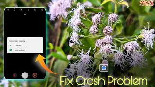 Google camera Crash Problem Fix ❗ Camera Keep Stopping Problem Fix Kaise Kara ‼️
