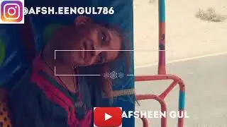 Afsheen Journey Into A Rickshaw