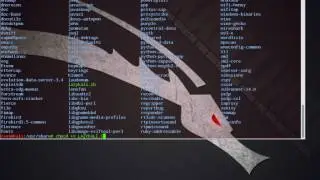 Lazy Kali bash script for Kali Linux