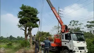 B&agrave;n giao H&agrave;ng loạt T&ugrave;ng la H&aacute;n