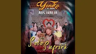 Solo sufrire