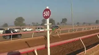 R11 5 3 2023F الشوط (11 سودانيين) مياسة للسيد/ الصادق محمد المليون