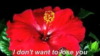 I don't want to lose you - Kapsonic (Hanneke Kappen Harry Kappen)