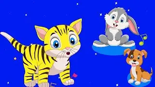 MİNİ MİNİ BİR KEDİ - Kedi Şarkısı / Minnak &Ccedil;ocuk Şarkıları Hayvanlı Şarkılar