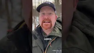 5 Pros to Moving to Michigan