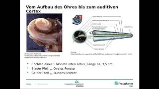 Vorlesung Multimediatools, Teil 7