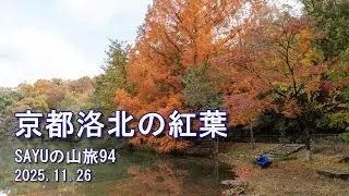 【京都洛北】京都の紅葉を洛北を歩いてきました　SAYUの山旅94　2025.11.26
