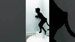 Black furry cat mask and tail costume - Amazon Finds #furry #catlovers #dressup #therian #cosplay