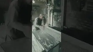 Old Man Cutting Wood #nature #woodcutting #treecutting #entertainment #bigtree #cuttingtree
