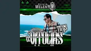 El Vitolias Toys