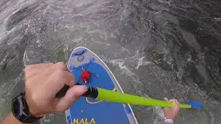Rigged for Adventure: SUPing the New River Gorge