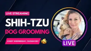 LIVE Grooming for dogs ( Here for questions!)