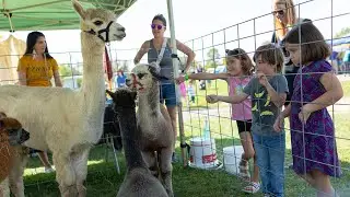 Apples and Honey: A JCC Fall Festival