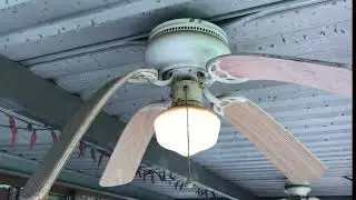 New Saggy Ceiling Fans