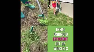 EASY WEED SNATCHER dutch C