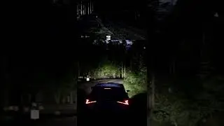 Not confident enough to go flat out here...😅 #rally #wrc #assettocorsa #fly #fast