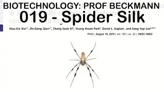 Biotechnology 019: Recombinant Spider Silk