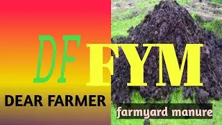 FYM. farmyard manure, benifits of fym, Apple orchard