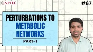 #67 Perturbations to Metabolic Networks | Over Expression | Computational Systems Biology