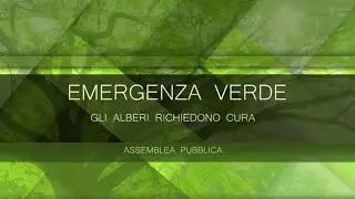 Emergenza verde - Gli alberi richiedono cura