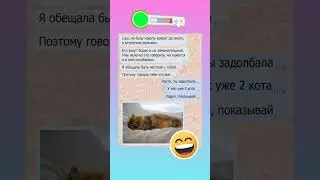 🤣🤣 #смех #семья #юмор #смехпродлеваетжизнь #мем #смешновидео #анекдоты #шуточное #семьявместе #memes