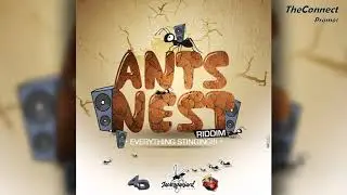 Moralis - No Fraid | Ants Nest Riddim | Vincy & Grenada Soca 2019