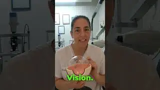 לחץ תוך עיני חשוב מאד#glaucoma #לחץ #health #eyeexercise #foryou #presbyopia #קריאה #readingglasses