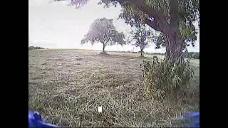 DVR - FPV / 23-05-2017 / Test new DAL Cyclone T5050C