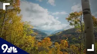 Colorado high country leaf-peeping tips