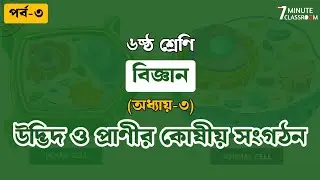 Class 6 Science Chapter 3 | Cellular Organization of Plants and Animals | Sixth Class Science