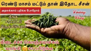 Healthy food 🍱 Athalakkai Village tasty Food 😋 athalakkai vlog ❤️ 