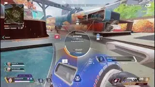 Mastiff op