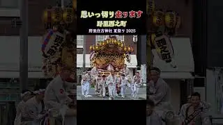 思いっ切り走ります❗野里西之町だんじり【 野里住吉神社 夏祭り】 2025年 Danjiri