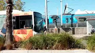 Ventura bus 210 on  887  route