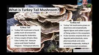 Turkey Tail Benefits: Immune, Gut & Health Benefits | 6 min Research Review