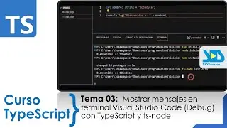 03 | Mostrar mensajes en terminal Visual Studio Code (Debug) con TypeScript y ts-node