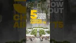 5 things to know about Changi Airport&rsquo;s new Terminal 5
