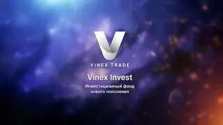 Знакомство с компанией VINEX Trade