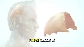 Amazing Facts About Clams You Didn&rsquo;t Know