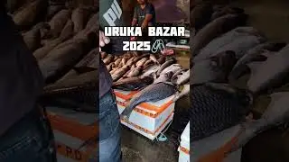 #maghbihu2025 #maghbihu #bihu #bihuvideo #bihufestival #bohag_bihu #youtubeshorts #nature #love