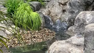 Aviary Build: Adding a waterfall and stream