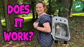 Cat Carrier Backpack That Rolls