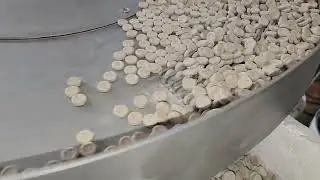 12 outlet tablet feeder @ 250 tablets per minute 