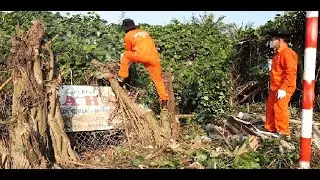 Full video: Railway tracks obscured by overgrown trees, we removed this hazard.