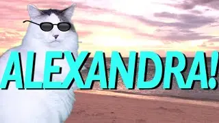 HAPPY BIRTHDAY ALEXANDRA! - EPIC CAT Happy Birthday Song
