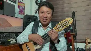 APRENDA A TOCAR CHARANGO DESDE CERO