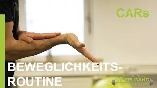 CARs | Beweglichkeitsroutine | Mobilit&auml;t & Stabilit&auml;t f&uuml;r Gelenke | Gipfelgang Training & Outdoor