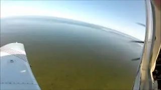 Belugas along James Bay Coast (From the air)