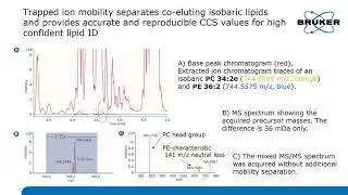 Benefits of 4D-Lipidomics&ndash;clean MSMS spectra and highly reproducible CCS values