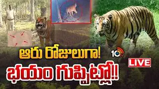 LIVE: రాజమహేంద్రవరంలో పెద్దపులి కలకలం....భయాందోళనలో ప్రజలు | Tiger Search Operation Rajahmundry